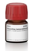 Polyaniline (emeraldine salt) average Mw >15,000, powder (Infusible), 3-100 μm particle size
