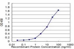 Monoclonal Anti-ARNT, (N-terminal) antibody produced in mouse clone 1F12, purified immunoglobulin, buffered aqueous solution