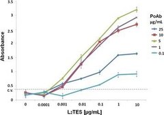 Anti-Mouse IgG (whole molecule)–Peroxidase antibody produced in goat affinity isolated antibody, buffered aqueous solution