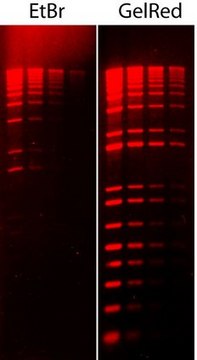 GelRed&#174; Nucleic Acid Stain 3X Water GelRed is a fluorescent nucleic acid stain designed to replace the highly toxic ethidium bromide (EtBr) for staining dsDNA, ssDNA or RNA in agarose gels or polyacrylamide gels.