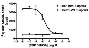 ChemiSCREEN Membrane Preparation Recombinant Human GABAB1b/GABAB2 Receptor Human GABAB1b GPCR membrane preparation for Radioligand binding Assays &amp; GTPγS binding.