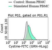 BioTracker Cystine-FITC Live Cell Dye Live cell imaging dye that measures cystine uptake at the single cell level used to detect glutathione (GSH) synthesis, reactive oxygen species (ROS) detoxification, T-cell activation and B-cell development.