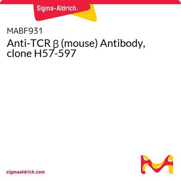 Anti-TCR &#946; (mouse) Antibody, clone H57-597
