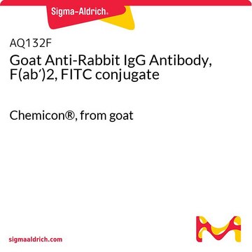 Goat Anti-Rabbit IgG Antibody, F(ab&#8242;)2, FITC conjugate Chemicon&#174;, from goat