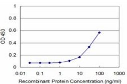 ANTI-FHIT antibody produced in mouse clone 1H2, purified immunoglobulin, buffered aqueous solution