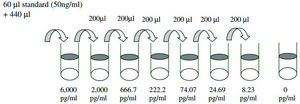 Porcine IL-1 β / IL-1F2 ELISA Kit for serum, plasma and cell culture supernatant