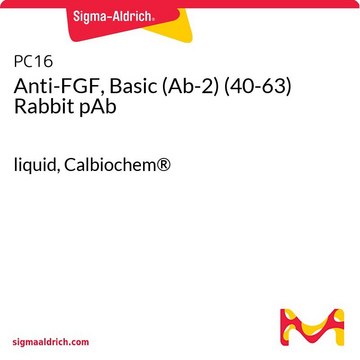 Anti-FGF, Basic (Ab-2) (40-63) Rabbit pAb liquid, Calbiochem&#174;