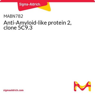 Anti-Amyloid-like protein 2, clone 5C9.3