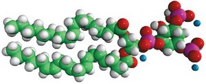 18:0-20:4 PI(3,5)P2 1-stearoyl-2-arachidonoyl-sn-glycero-3-phospho-(1′-myo-inositol-3′,5′-bisphosphate) (ammonium salt), powder