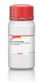 Bovine Serum Albumin lyophilized powder, ≥96% (agarose gel electrophoresis)