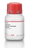 Cyanogen bromide-activated Agarose lyophilized powder