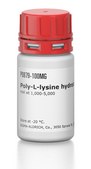 Poly-L-lysine hydrobromide mol wt 1,000-5,000