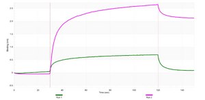 Anti-FRS2/SNT-1 Antibody, clone 1C19 ZooMAb® Rabbit Monoclonal recombinant, expressed in HEK 293 cells