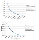 Rabbit-Anti-Human IgG4 Antibody, clone RM120 clone RM120, from rabbit