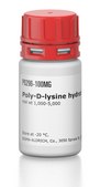 Poly-D-lysine hydrobromide mol wt 1,000-5,000