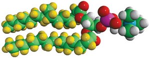16:0 PC-d62 Avanti Research™ - A Croda Brand 860355P, powder