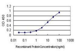 Monoclonal Anti-HERC3 antibody produced in mouse clone 2C1, purified immunoglobulin, buffered aqueous solution