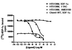 ChemiSCREEN Membrane Preparation Recombinant Human CXCR7 Chemokine Receptor Human CXCR7 / RDC1 GPCR membrane preparation for Radioligand binding Assays &amp; GTPγS binding.