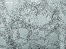 カーボン・ナノチューブ、単層 (6,5) chirality, ≥90% carbon basis (≥99% as carbon nanotubes), 0.78 nm average diameter, avg. no. of layers, 1