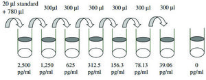 Human GCP-2 / CXCL6  ELISA Kit for serum, plasma, cell culture supernatant and urine