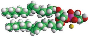 18:1 (Δ9-Cis) PG Avanti Research™ - A Croda Brand