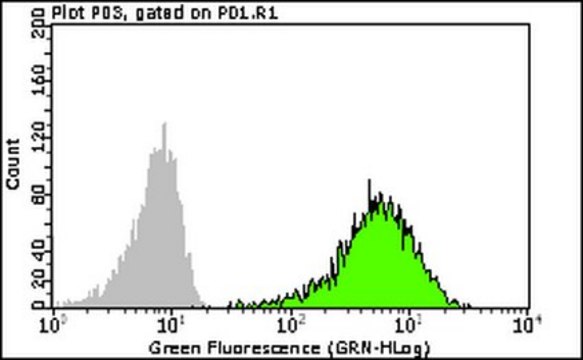 Milli-Mark&#174; Anti-TRA-2-49 Antibody, clone TRA-2-49/6E, FITC Conjugate clone TRA-2-49/6E, Milli-Mark&#174;, from mouse