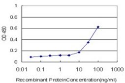 Monoclonal Anti-PTPRE antibody produced in mouse clone 2D10, purified immunoglobulin, buffered aqueous solution