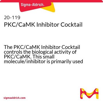 PKC/CaMK Inhibitor Cocktail The PKC/CaMK Inhibitor Cocktail controls the biological activity of PKC/CaMK. This small molecule/inhibitor is primarily used for Biochemicals applications.