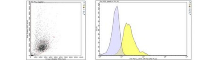 Anti-PD-L1 Antibody, clone 10F.9G2 clone 10F.9G2, from rat