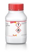 Isoborneol 95%