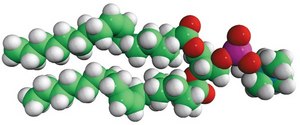 18:1 (Δ9-Cis) PC (DOPC) Avanti Research™ - A Croda Brand