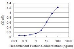 Monoclonal Anti-SCML2 antibody produced in mouse clone 1C8, purified immunoglobulin, buffered aqueous solution
