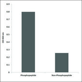 Anti-phospho-FRS2 (pTyr436) antibody produced in rabbit affinity isolated antibody