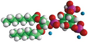 08:0 PI(3,5)P2 1,2-dioctanoyl-sn-glycero-3-phospho-(1′-myo-inositol-3′,5′-bisphosphate) (ammonium salt), powder