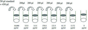 Human Galectin-7 ELISA Kit for serum, plasma, cell culture supernatants and urine