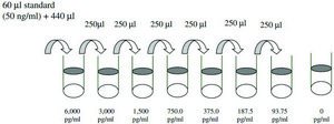 Rat PDGF-AA ELISA Kit for serum, plasma and cell culture supernatant