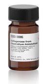Collagenase from Clostridium histolyticum Type V, ≥1 FALGPA units/mg solid, >125 CDU/mg solid