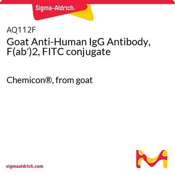 Goat Anti-Human IgG Antibody, F(ab&#8242;)2, FITC conjugate Chemicon&#174;, from goat