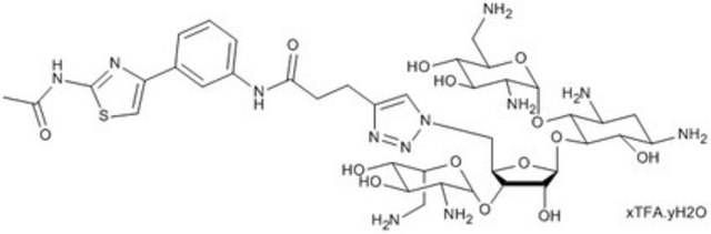 miR-372/3 Inhibitor, Neomycin-S