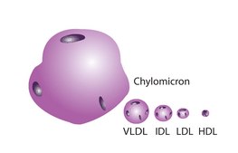 Lipoprotein, low density from human plasma ≥95% (SDS-PAGE), solution