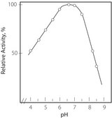Cholesterol Oxidase from Streptomyces sp. lyophilized powder, ≥20 units/mg protein