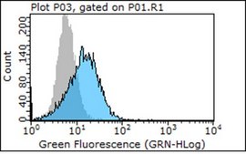 Anti-Integrin β4 Antibody, clone ASC-8 (Azide Free) clone ASC-8, Chemicon®, from mouse