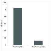 Anti-phospho-PAK1 (pSer199) antibody produced in rabbit affinity isolated antibody