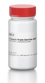 κ-Casein from bovine milk ≥70% (PAGE), lyophilized powder