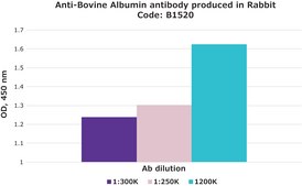 Anti-Bovine Albumin antibody produced in rabbit whole antiserum
