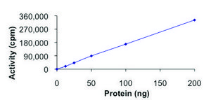 NEK5, active, GST tagged human PRECISIO®, recombinant, expressed in baculovirus infected Sf9 cells, ≥70% (SDS-PAGE), buffered aqueous glycerol solution