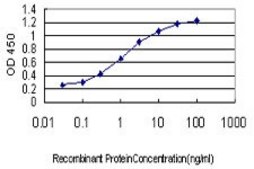Monoclonal Anti-RBAK antibody produced in mouse clone 6F9, purified immunoglobulin, buffered aqueous solution