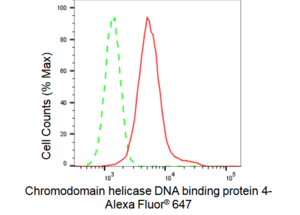 KD-Validated Anti Chromodomain helicase DNA binding 4 Antibody, clone 23GB1310, Rabbit Monoclonal clone 23GB1310, recombinant rabbit monoclonal, expressed in HEK293 cells