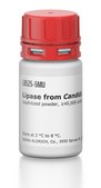 Lipase from Candida rugosa lyophilized powder, ≥40,000 units/mg protein