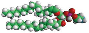 C18(Plasm)-18:1 PE Avanti Research™ - A Croda Brand